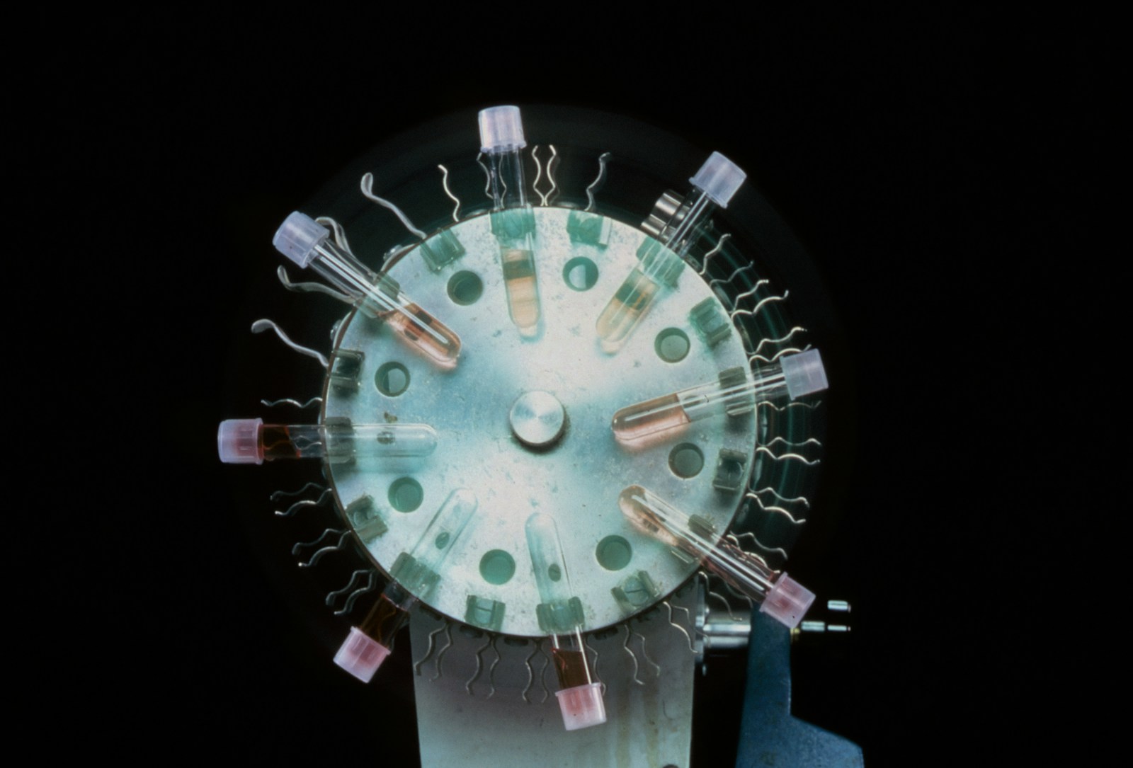 Close-up of tissue culture laboratory equipment with attached tubes